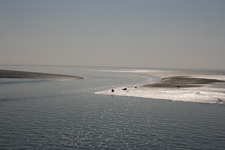 ماكوم Beach-Dijkvilla Seaview Horizons الغرفة الصورة